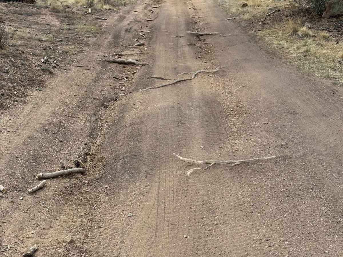 Sixteener Road photo 6