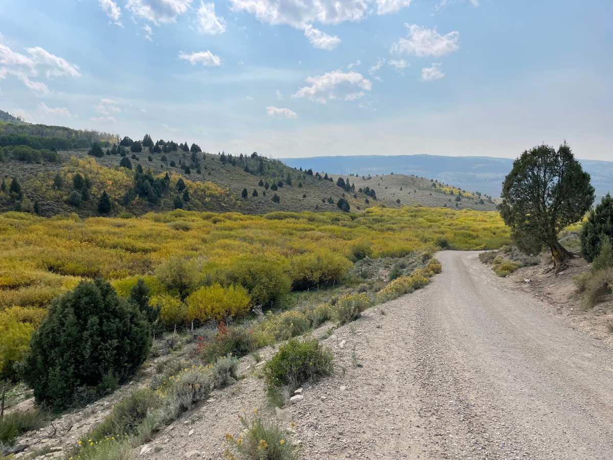 Timber Canyon Trail trail photo