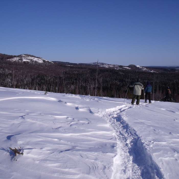 Near Snowshoe Trail A2