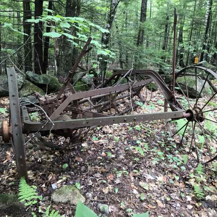 Near Guinea Hill Road/Forest Service Road 373