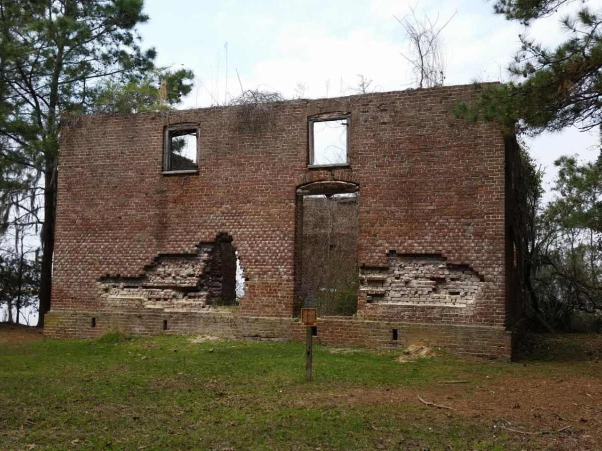 Swamp Fox 1 photo 4