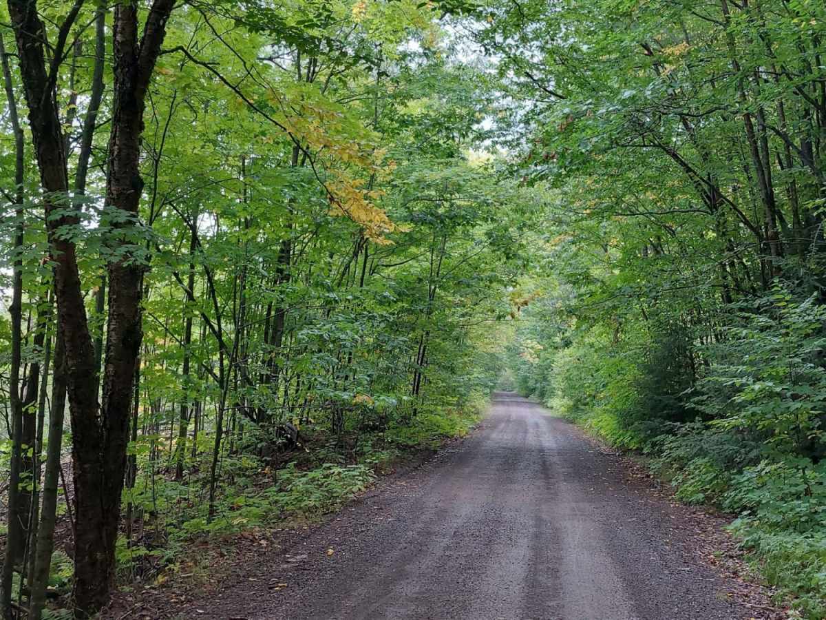 Bill Nicholls Trail (UP3) photo 5