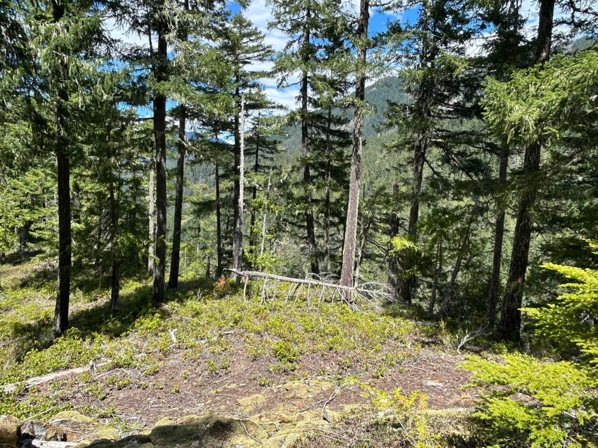 Canyon Road photo 3