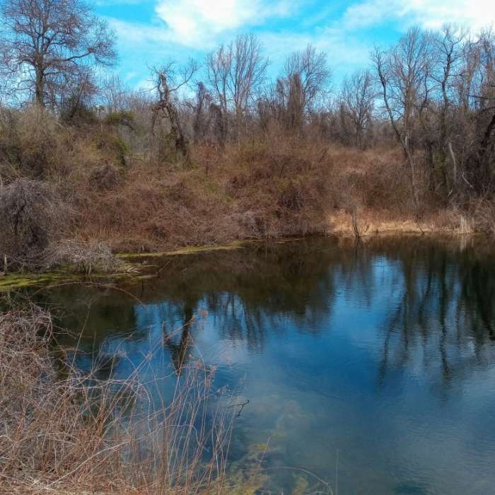 Cattail Pond in White Clay Creek State Park. Near Cattail Pond