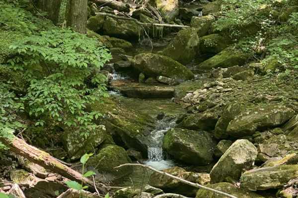 New River Gorge