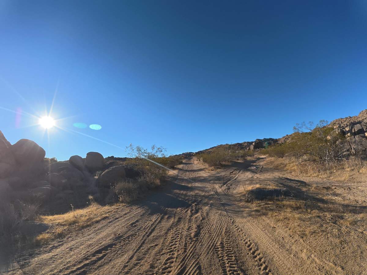 BLM SV2613 photo 6