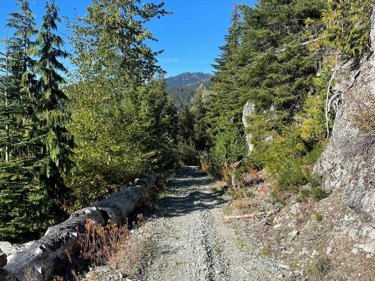 Doubletrack #1 photo 5