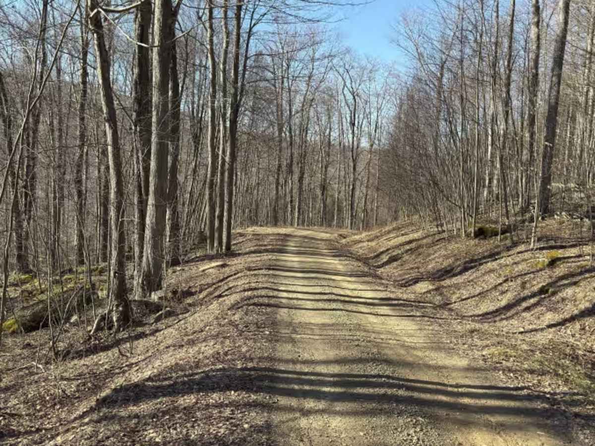 Camp Run - FS 504 trail photo