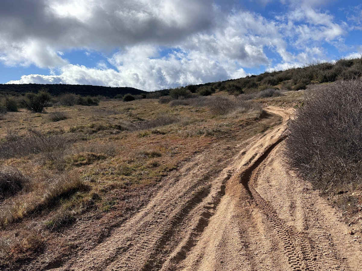 Sand Rip Loop photo 3