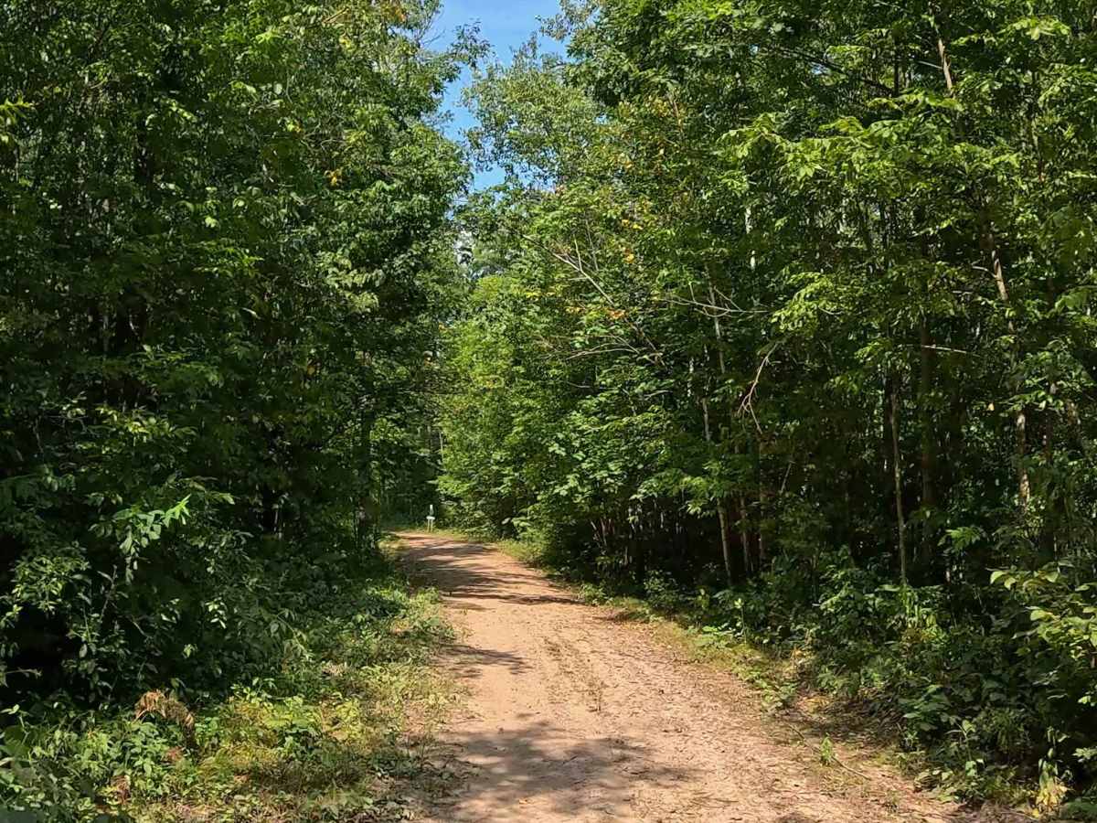 AlanDale Stem Trail photo 3