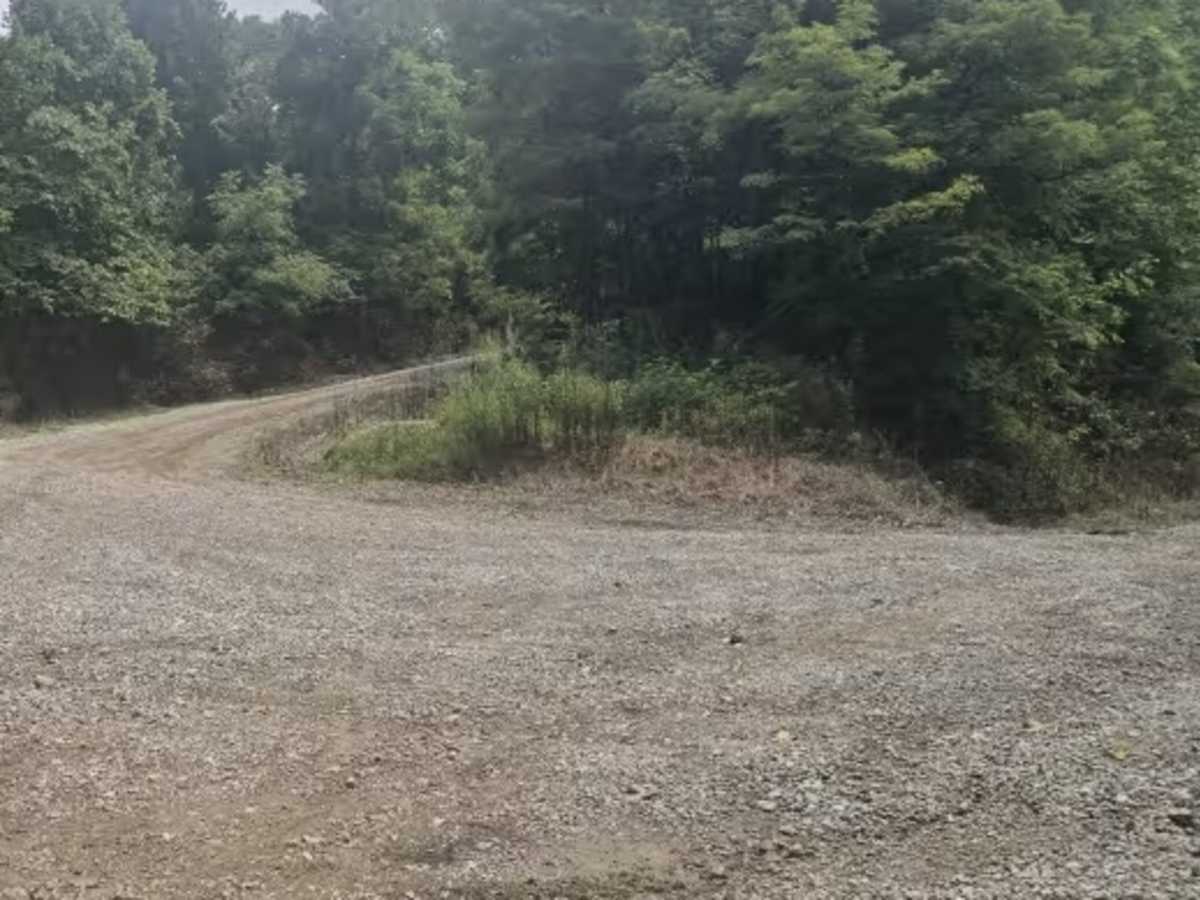 Connector Trail 50 photo 5