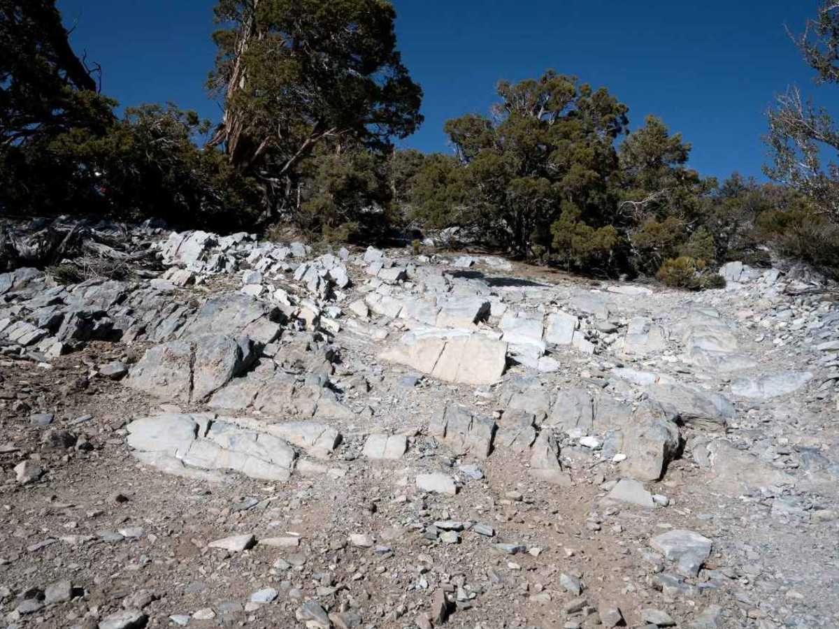 Mazourka Canyon photo 2