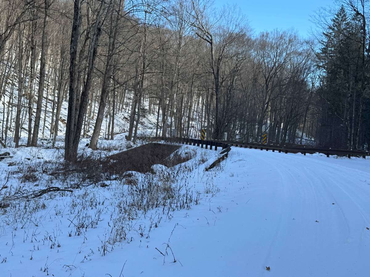 Upper Pleasant Stream Road photo 6
