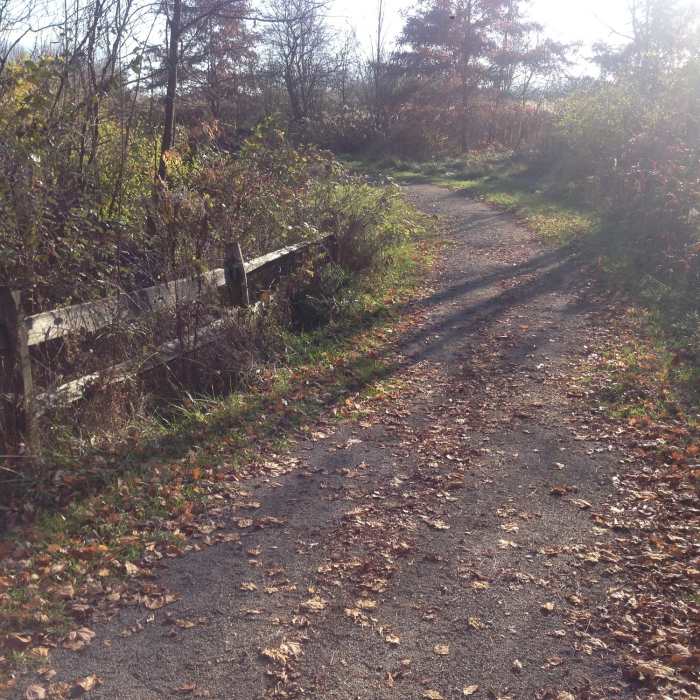 Near North Country Trail Out and Back