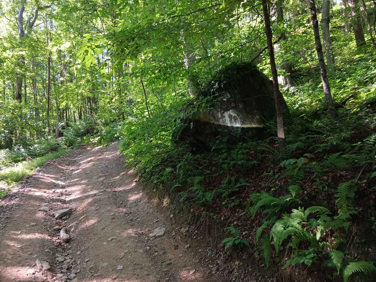Trail 14D - Rock Run Recreation Area photo 4