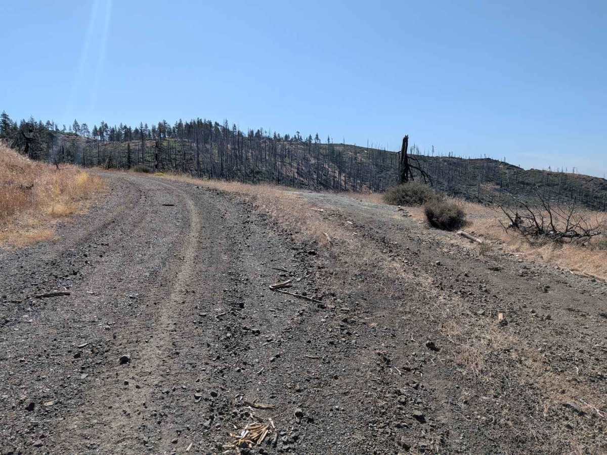 North Fork Smokey Creek Road - FS 29N48  photo 5