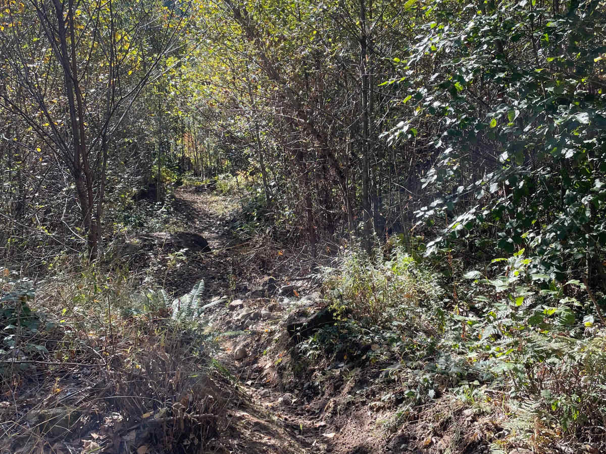 Lower Hydro Hill photo 3