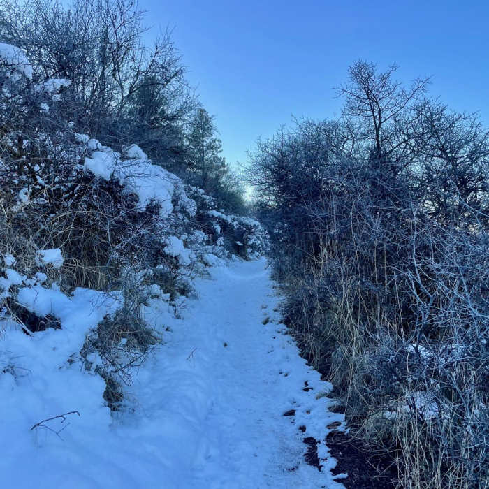 Near Nature Trail Loop