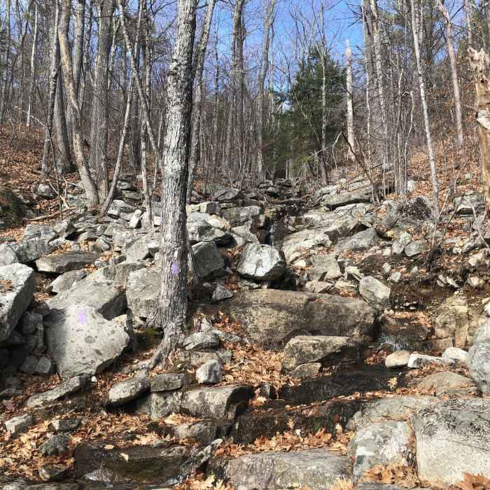 Near Precipice Path West