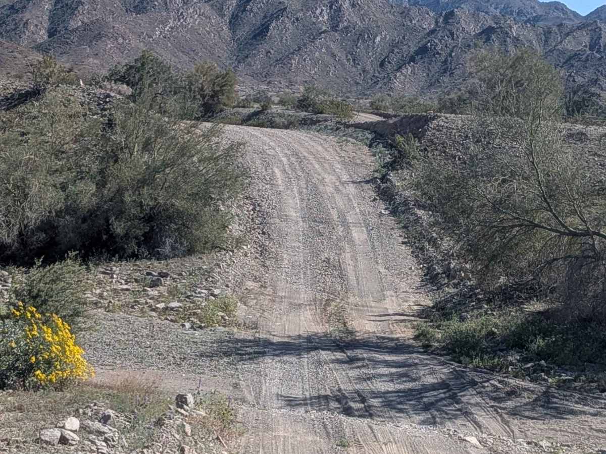 Tom Wells Road - EC1268 trail photo
