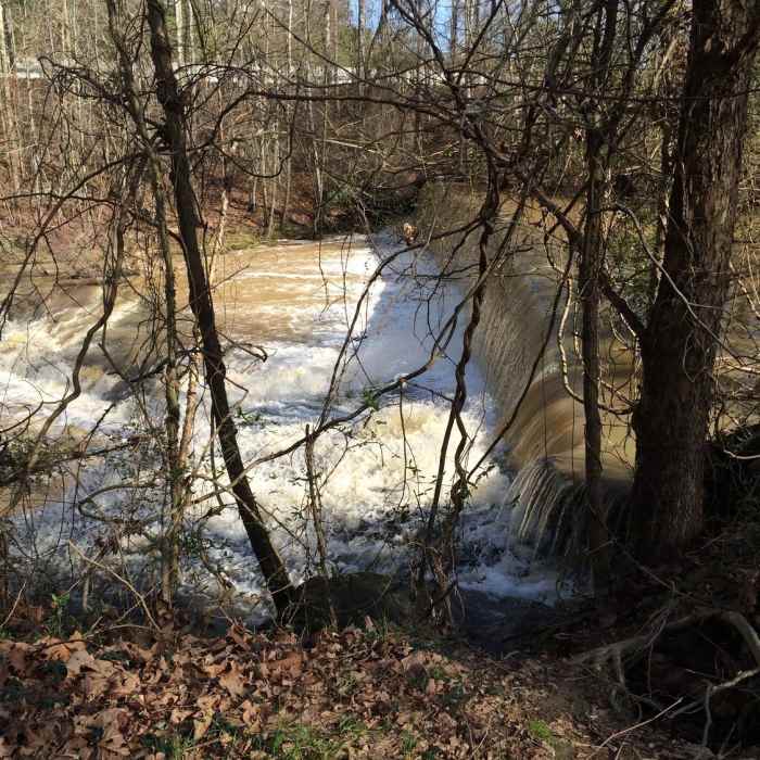Near Ivy Creek Greenway