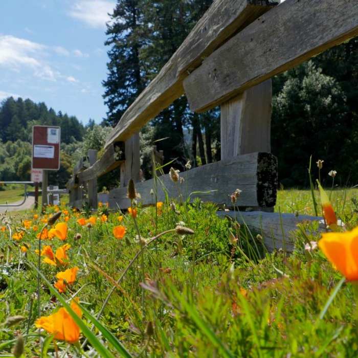 Near Sky Trail Loop, Bear Valley to Mount Wittenberg