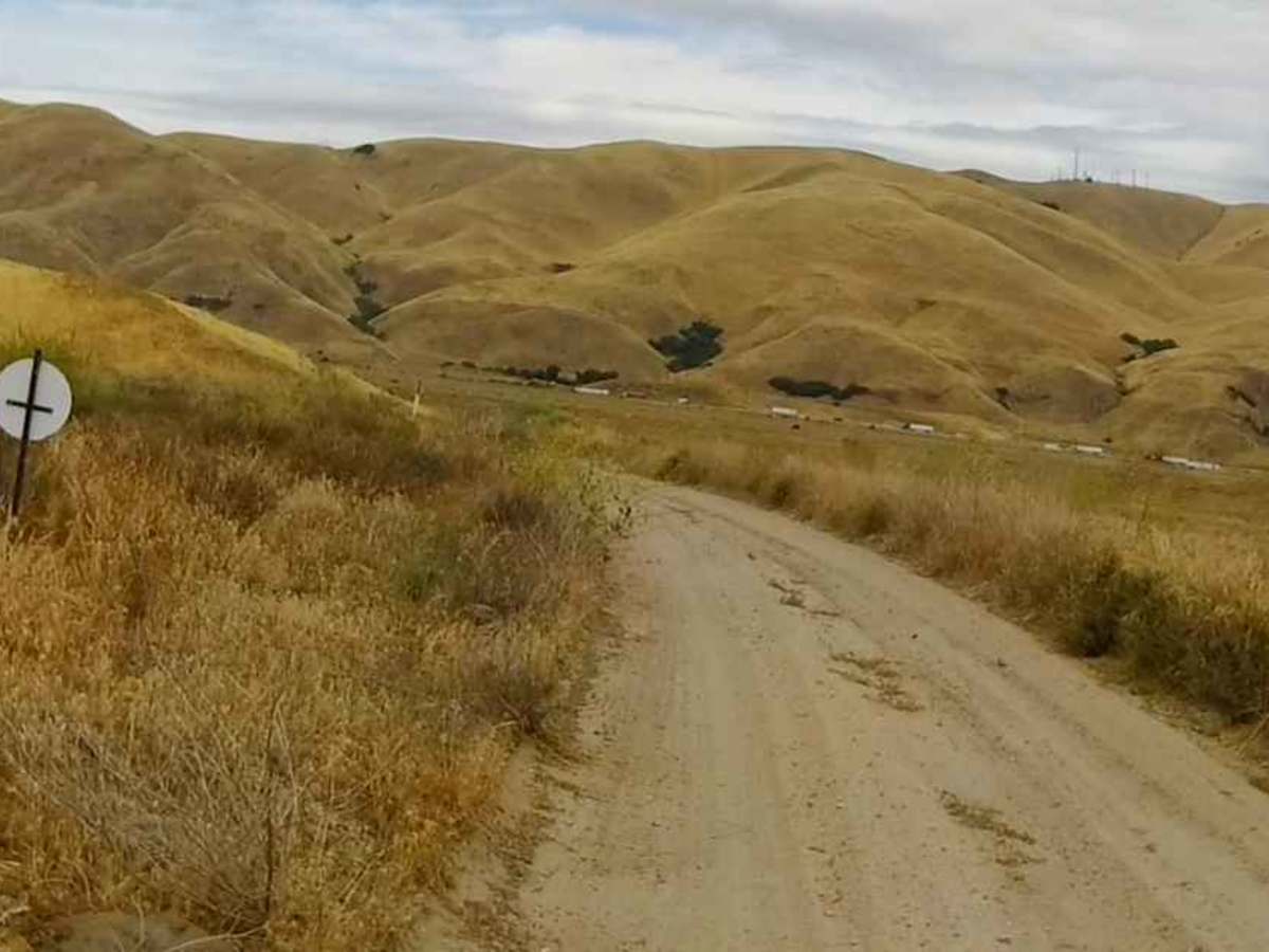 Wheatfield Trail photo 3