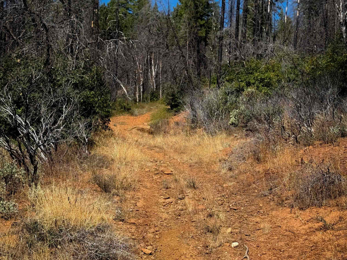 Cashman Ridge  photo 3
