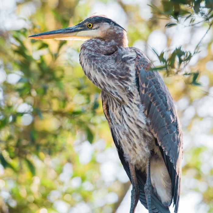 Near Oso Flaco Lake Trail Near Oso Flaco Lake Trail