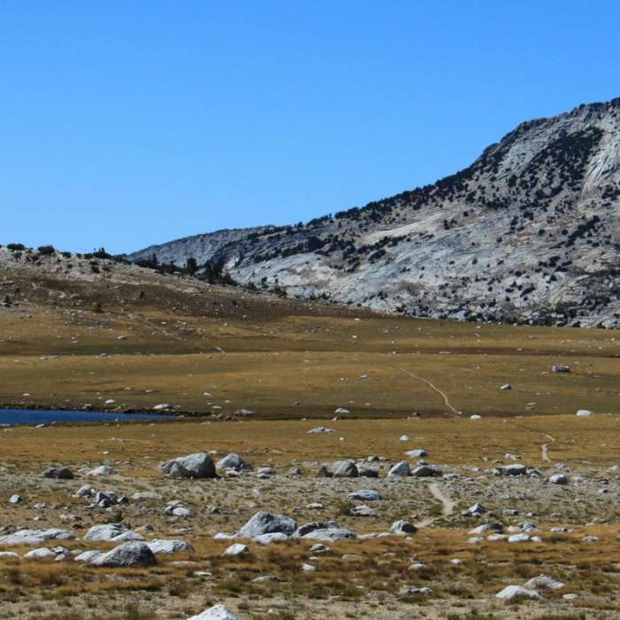 Near Tuolumne Meadows to Yosemite Valley via Vogelsang Camp Near Tuolumne Meadows to Yosemite Valley via Vogelsang Camp