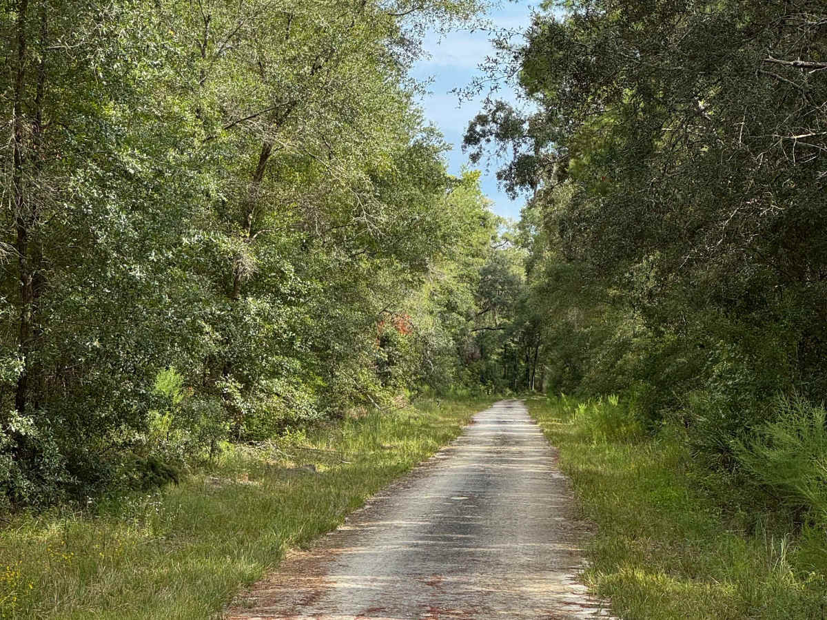 North Creek Road photo 3