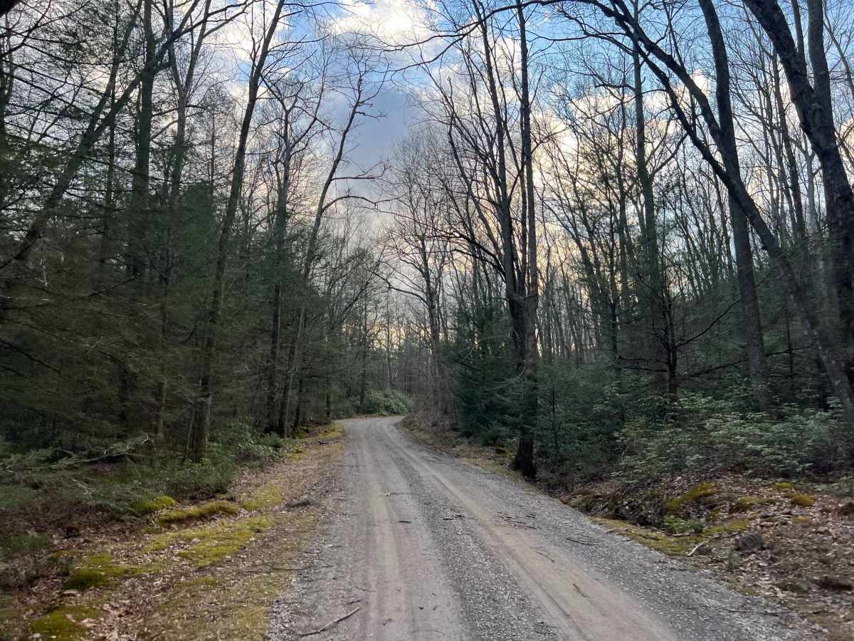 Bear Run Road photo 4
