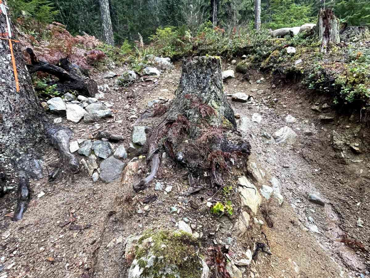 Widowmaker Start trail photo