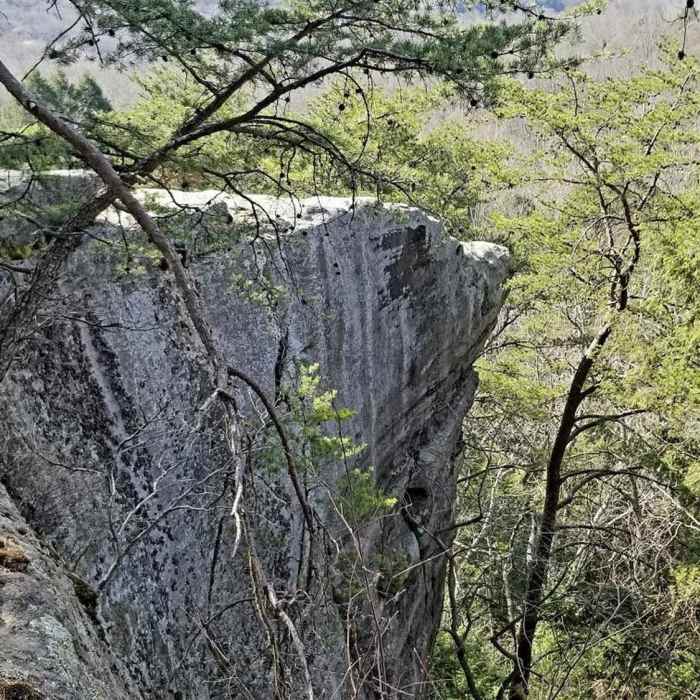Near Airplane Rock Bridle Trail