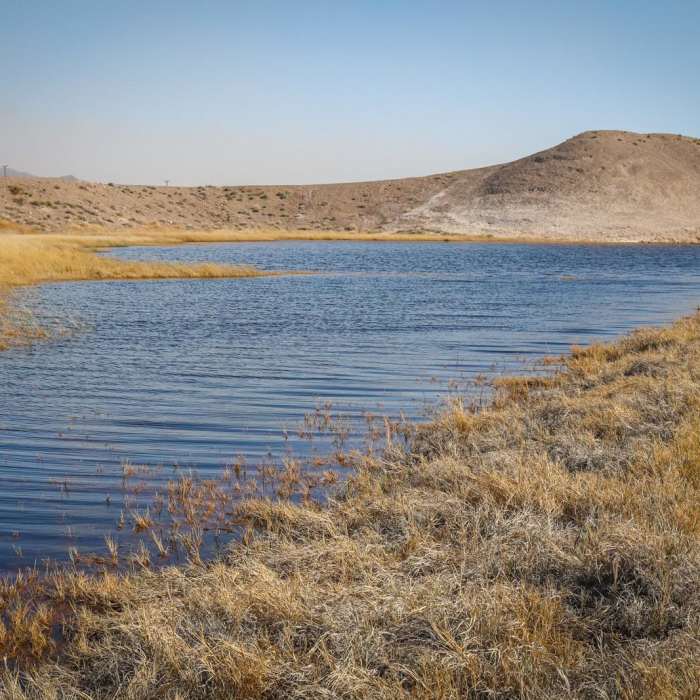 Near Tidewater & Tonopah Trail