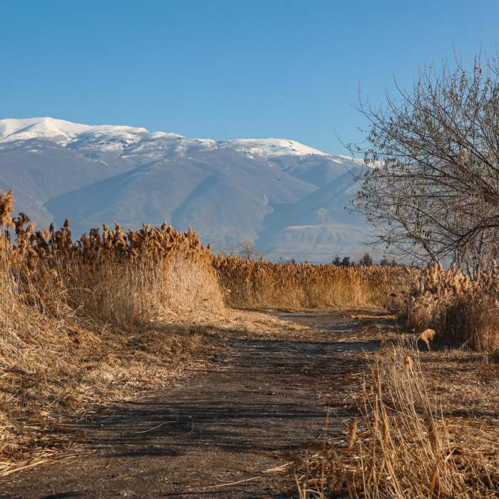 Near Bountiful Lake Loop