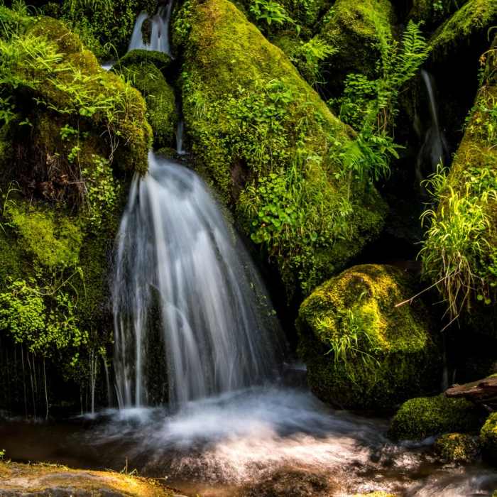Near Watson Falls Hike