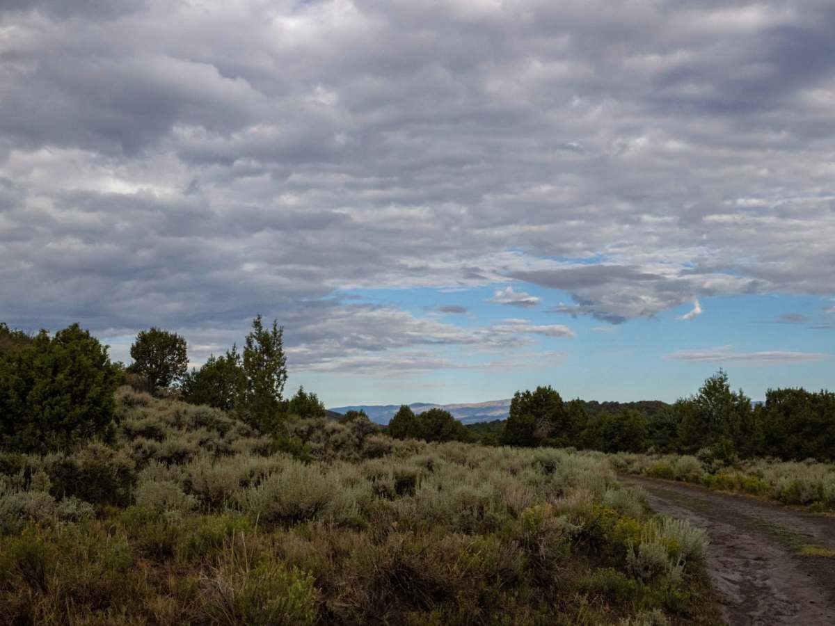 Lower Rocks Road trail photo