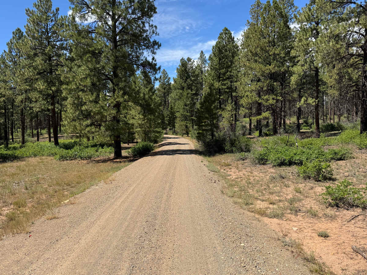 Grouse Point Road photo 2