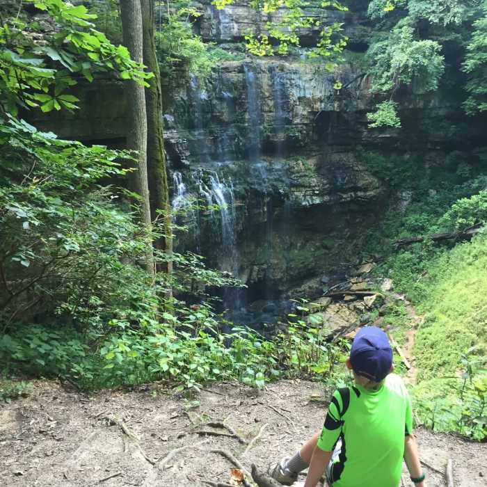 Near Virgin Falls Lollipop