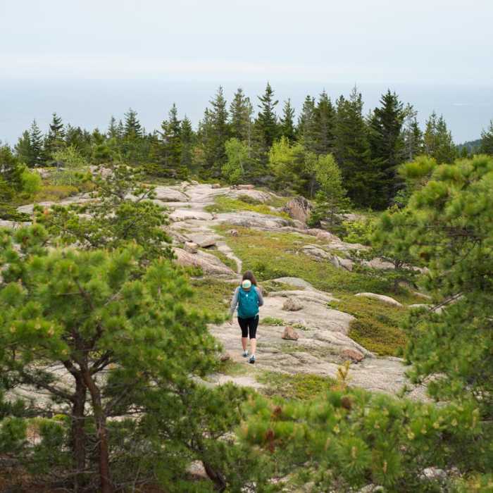 Near Gorham Mountain Loop Near Gorham Mountain Loop