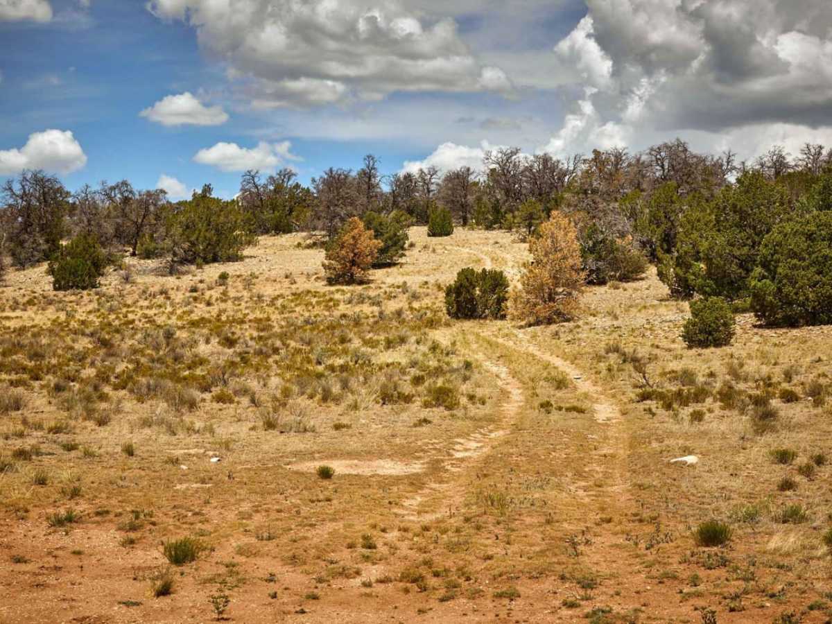 FR 685 trail photo