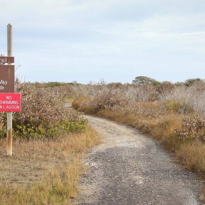 Near Fiddlers Loop Nature Trail Near Fiddlers Loop Nature Trail