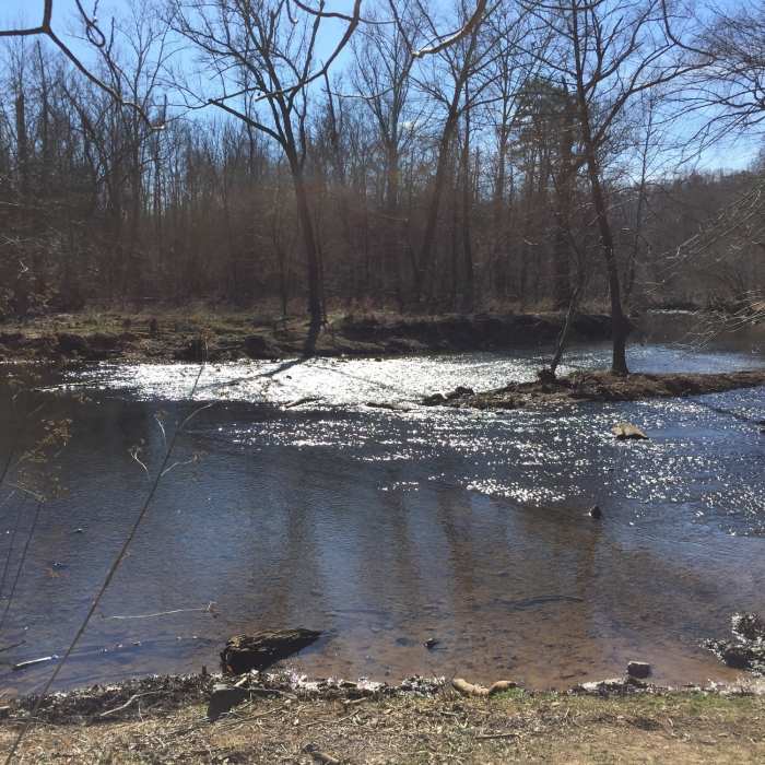 Few's Ford glimmers brightly in the afternoon sun. Near Fanny's Ford Trail