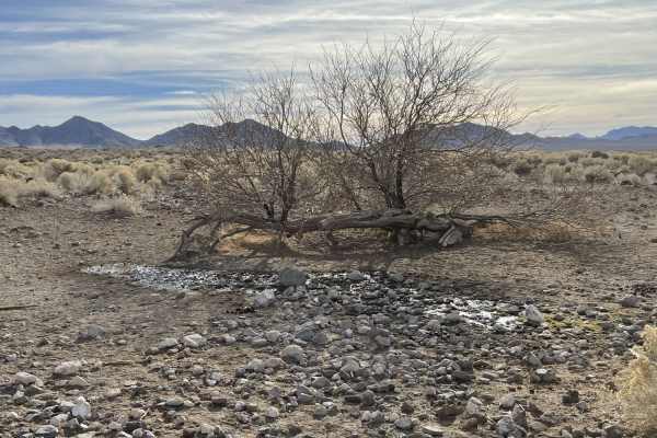 Mud Springs Road