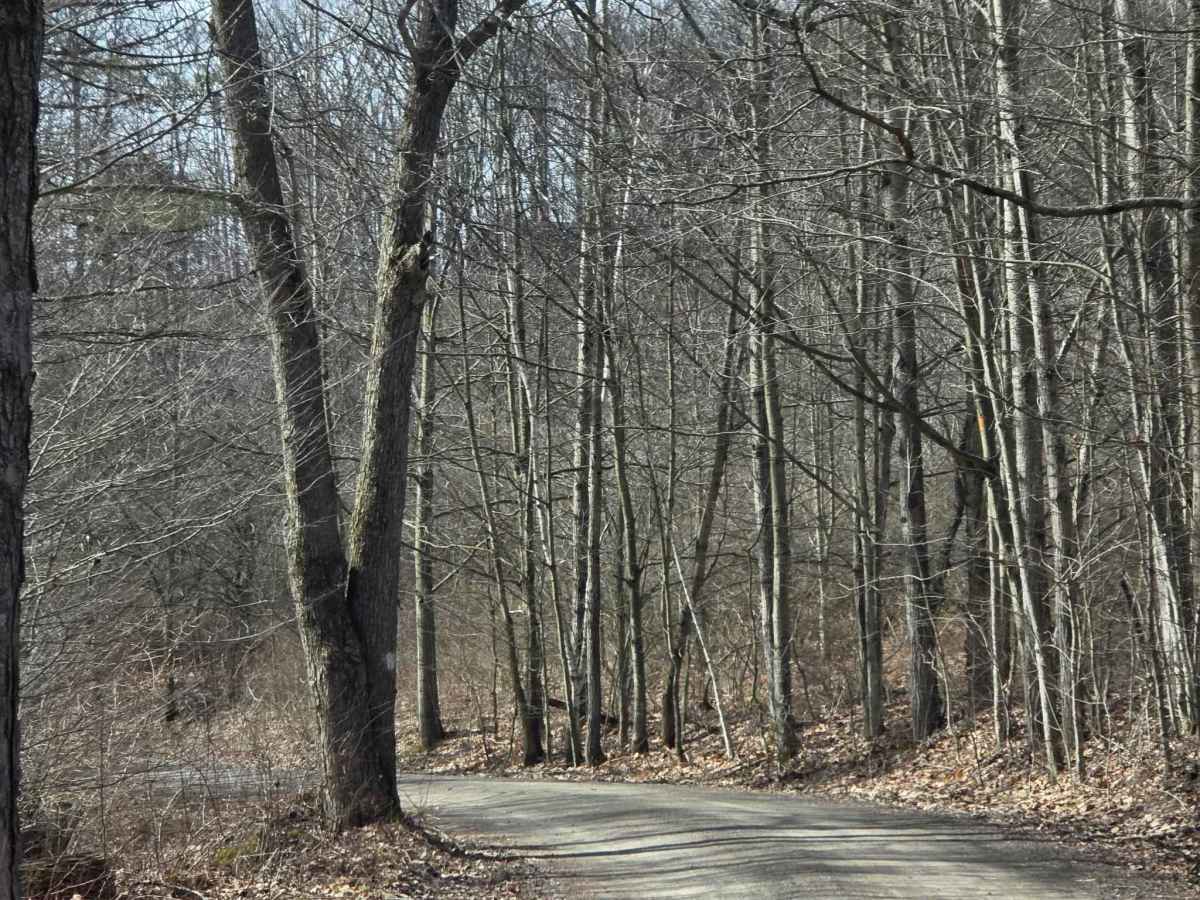 Sand Road photo 3