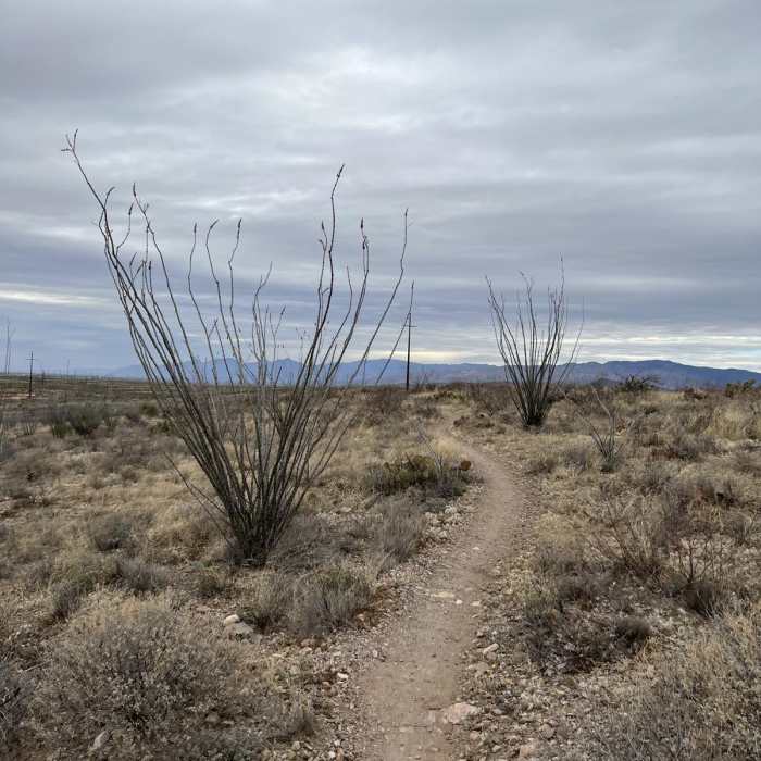 Near Arizona Trail Passage 7: Las Cienegas