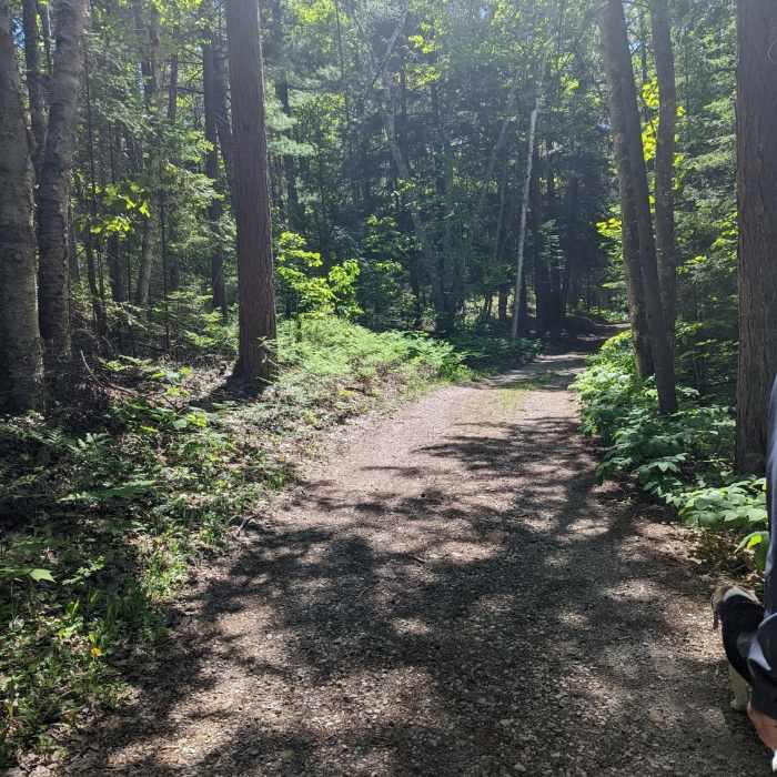 Near Nebo Trail