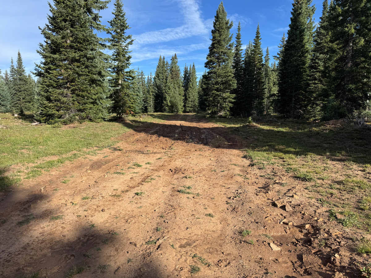Taylor Creek J Road photo 5