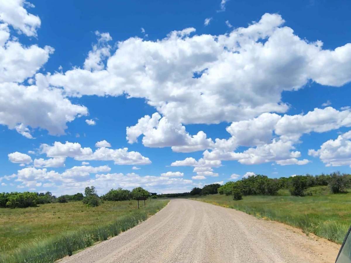 Ormiston Point Road trail photo